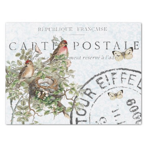 Bird Nest Postmark Butterfly Carte Postale Blue Tissue Paper