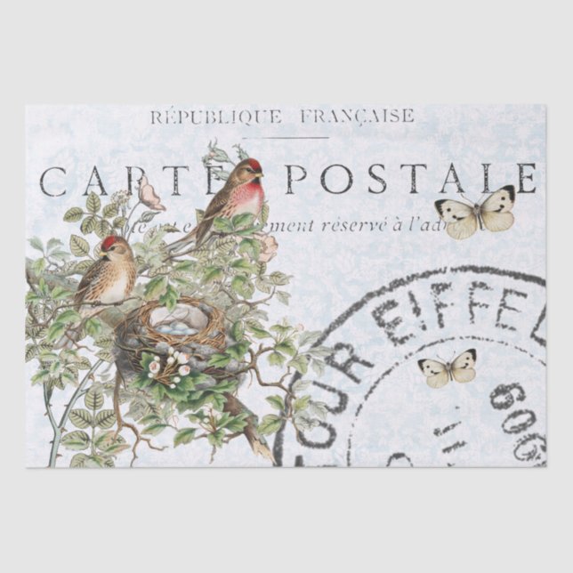 Bird Nest Postmark Butterfly Carte Postale Blue Tissue Paper (Front)