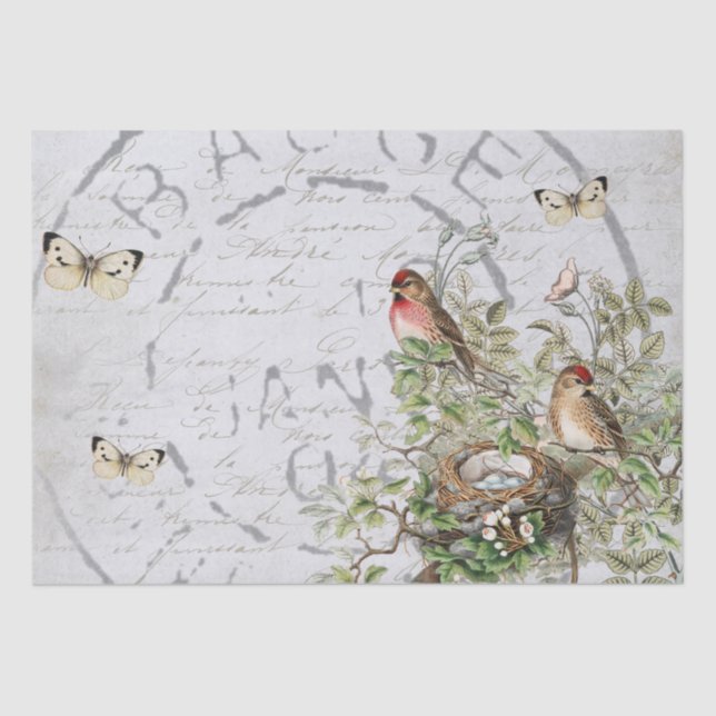 Bird Nest Postmark Butterfly French Script Blue Ti Tissue Paper (Front)