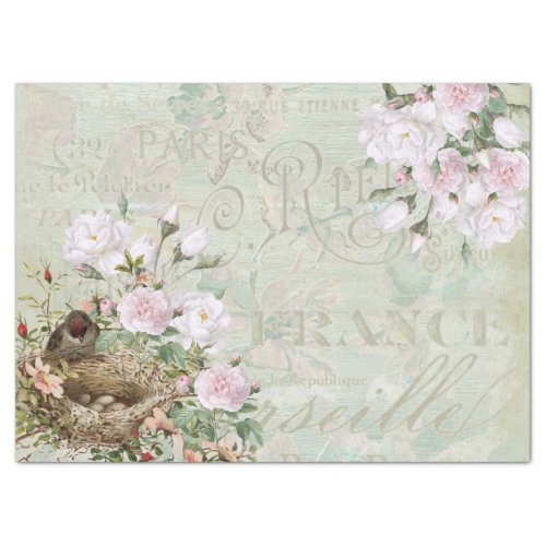 Bird Nest Rose French Script Vintage Decoupage Big Tissue Paper