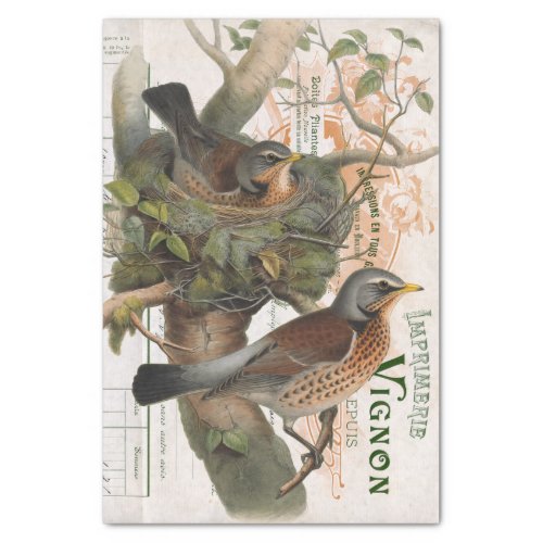 Bird Nest Tree Vintage French Script Decoupage  Tissue Paper