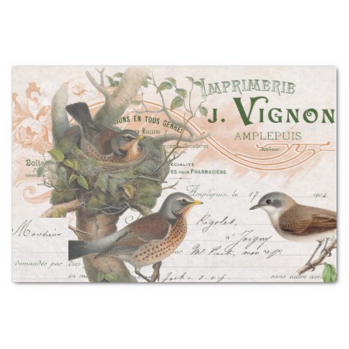 Bird Nest Tree Vintage French Script Decoupage  Tissue Paper