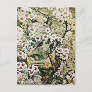BIRD NEST,TREE WITH BROWN WHITE SPRING FLOWERS ANNOUNCEMENT POSTCARD