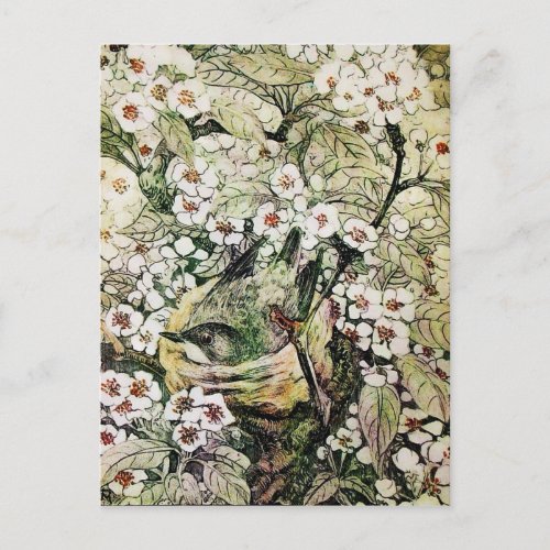 BIRD NESTTREE WITH BROWN WHITE SPRING FLOWERS ANNOUNCEMENT POSTCARD