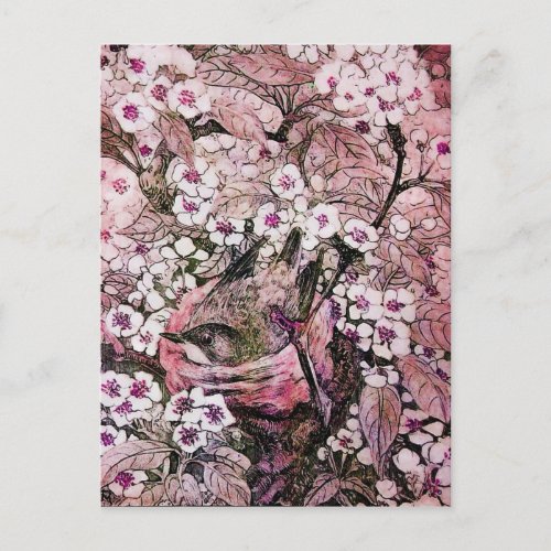 BIRD NEST TREE WITH WHITE RED PINK SPRING FLOWERS ANNOUNCEMENT POSTCARD