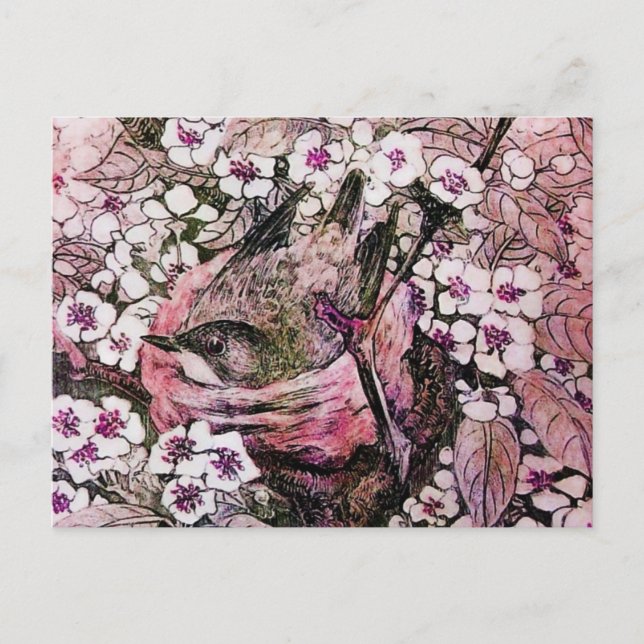 BIRD NEST ,TREE WITH WHITE RED PINK SPRING FLOWERS POSTCARD (Front)