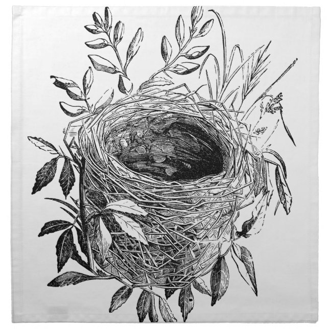 bird nest vintage illustration cloth napkin (Front)