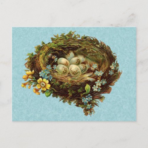 BIRD NEST WITH EGGS VINTAGE POSTCARD