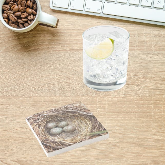 Bird Nest With Speckled Blue Eggs Photo Stone Coaster (In Situ Office)