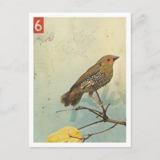Bird No.2 Postcard