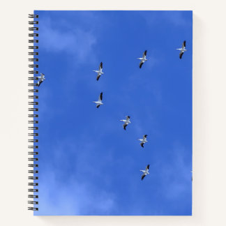 Bird Notebook