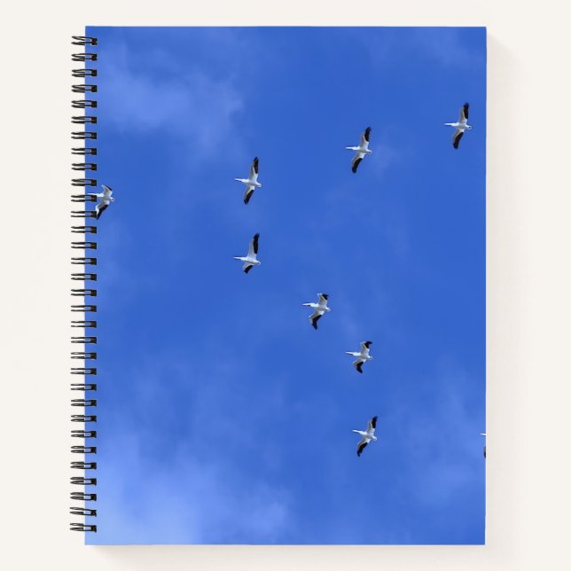 Bird Notebook (Front)