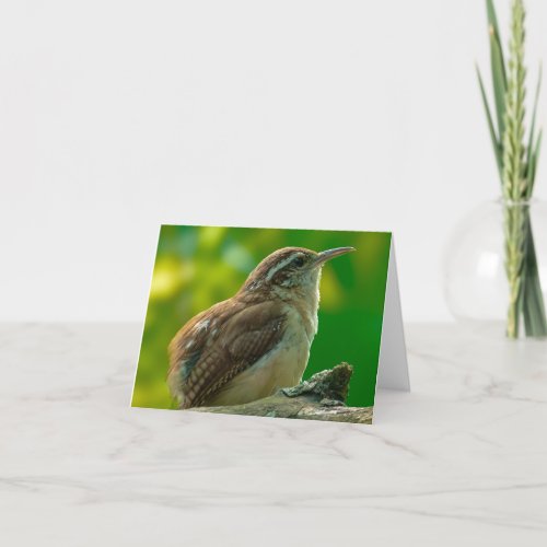 Bird Notecard