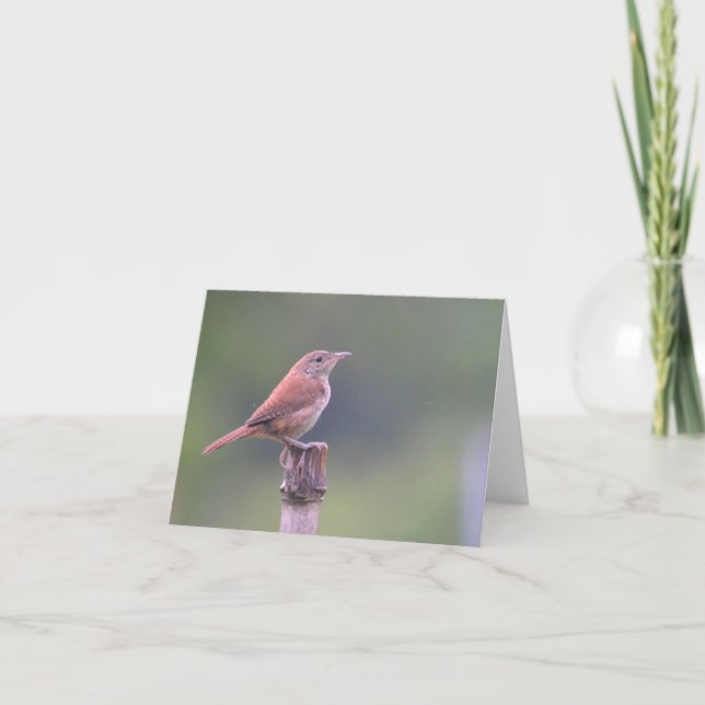 Bird Notecard (Front)