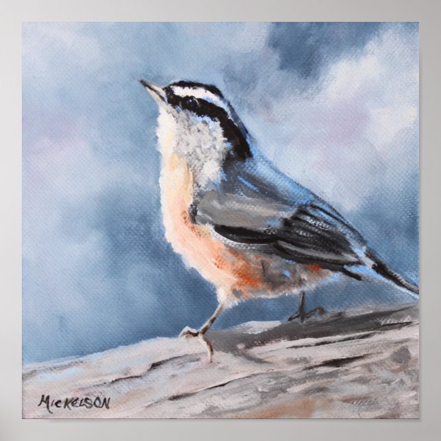 Bird Nuthatch Fine Art Print (Front)