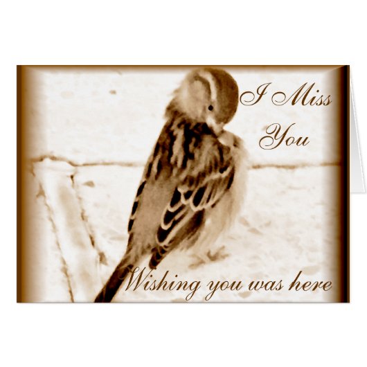 Bird of love_ (Front Horizontal)