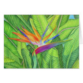 Bird of Paradise (Front Horizontal)