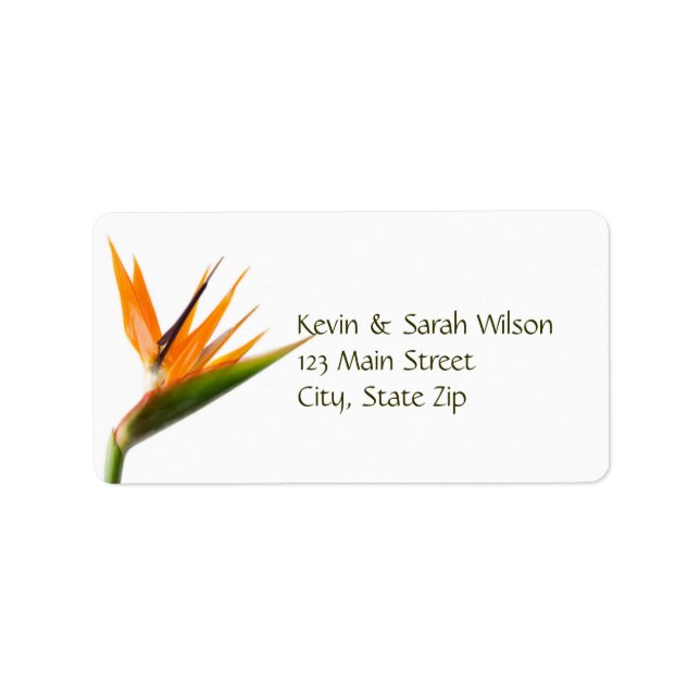 Bird of Paradise Address Labels (Front)