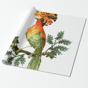 Bird of Paradise and exotic flowers on a white bac Wrapping Paper