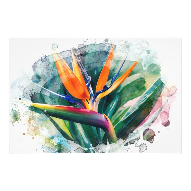 *~* Bird of Paradise AP10 Art Painting #2 Photo Print (Front)