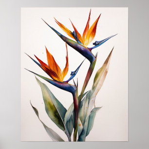 Bird Of Paradise Art Print Poster