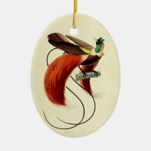 Bird of Paradise, Bird Illustration, Vintage Ceramic Ornament