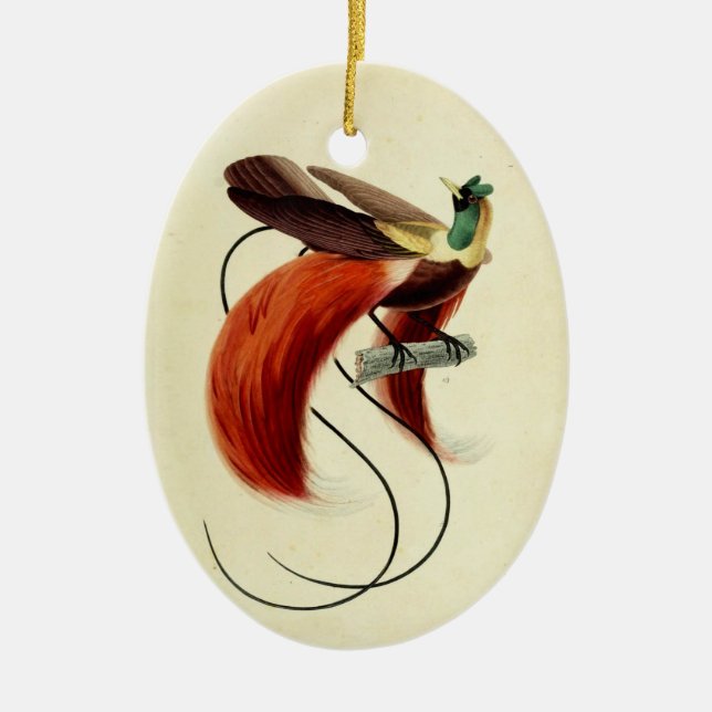 Bird of Paradise, Bird Illustration, Vintage Ceramic Ornament (Front)