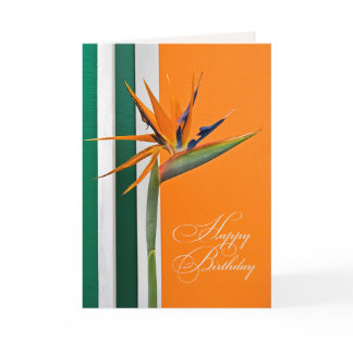 Bird of Paradise Birthday Card