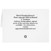 "Bird of Paradise Blossom" Cards (Back Horizontal)