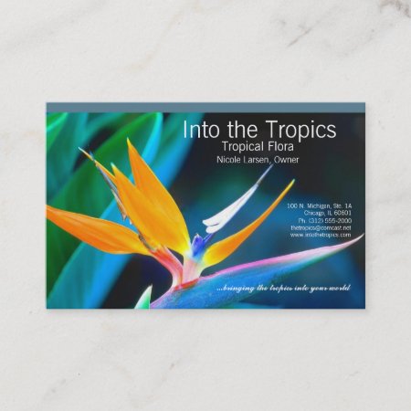 Bird-of-paradise Business Card