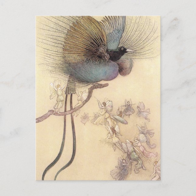 Bird of Paradise by Warwick Goble Postcard (Front)