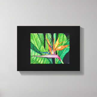 BIRD OF Paradise canvas