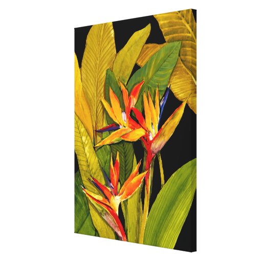 Bird of Paradise Canvas Print | Zazzle