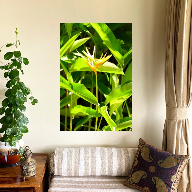 Bird of Paradise Canvas Print (Creator Uploaded)