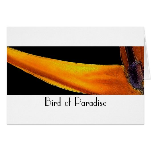 Bird of Paradise Cards (Front Horizontal)