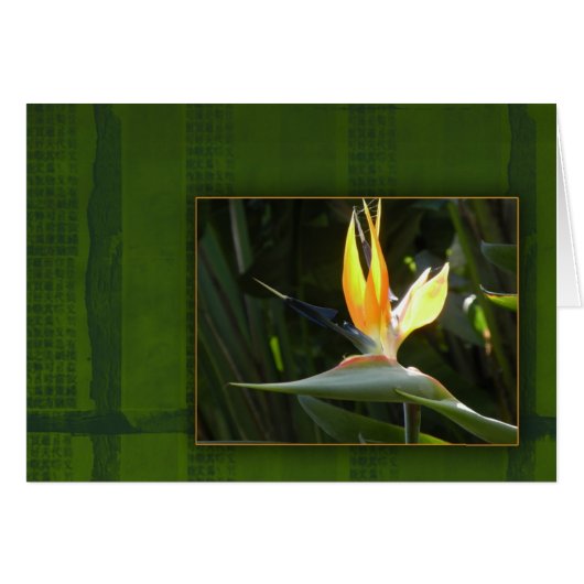 Bird of Paradise Cards (Front Horizontal)