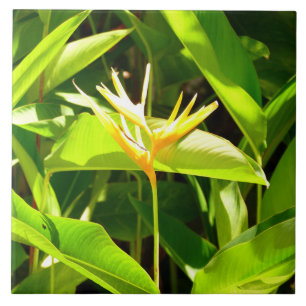 Bird of Paradise Ceramic Tile