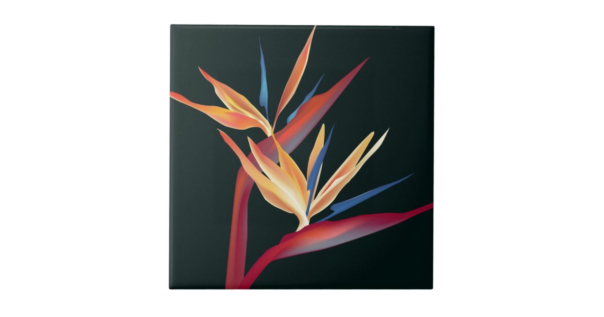 Bird of Paradise Ceramic Tile | Zazzle
