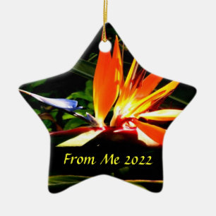 Bird of Paradise Christmas Holiday Ornament Star 2