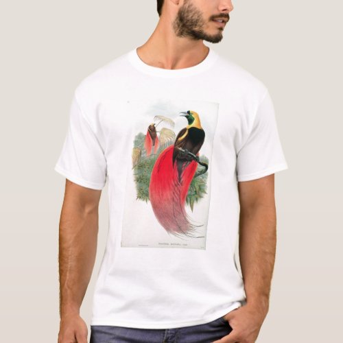Bird of Paradise engraved by T Walter T_Shirt