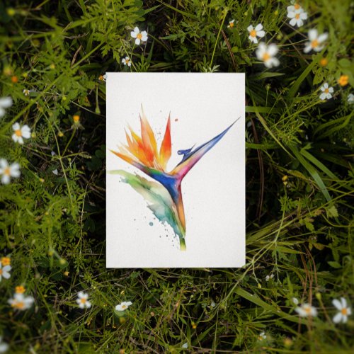 Bird of paradise exotic flower bright watercolor postcard
