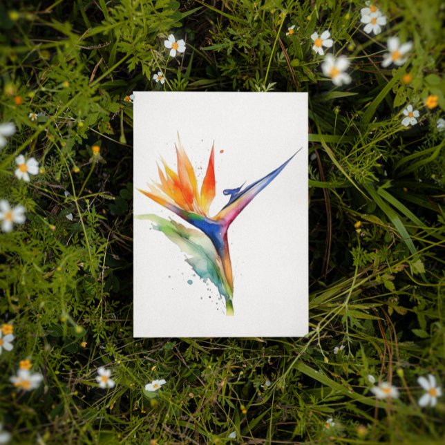 Bird of paradise exotic flower bright watercolor postcard (Creator Uploaded)