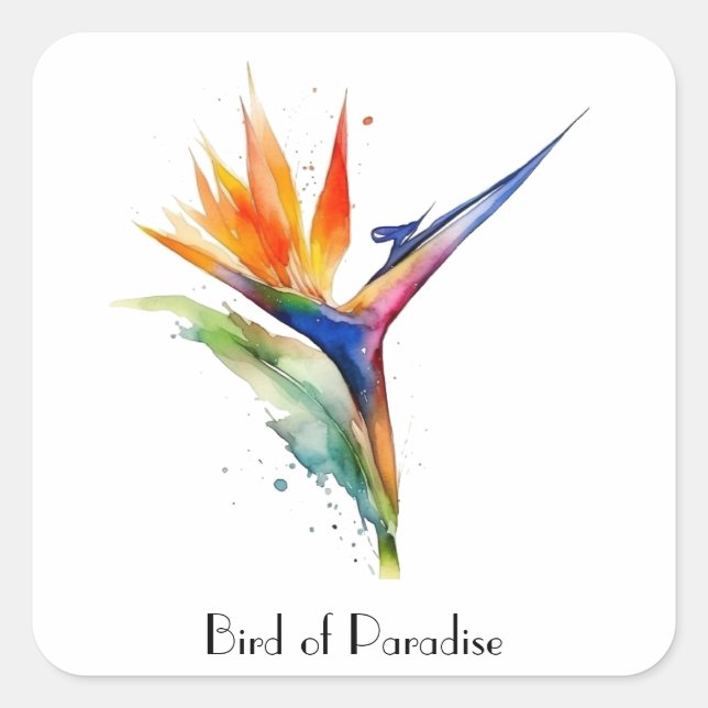 Bird of paradise exotic flower, customizable square sticker (Front)