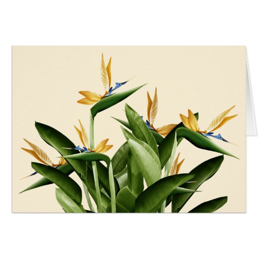 Bird-of-Paradise Fantasy Plant Cards (Front Horizontal)