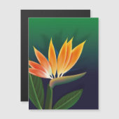 Bird of paradise flower (Front/Back)