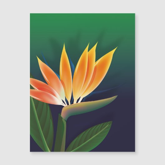Bird of paradise flower (Front)