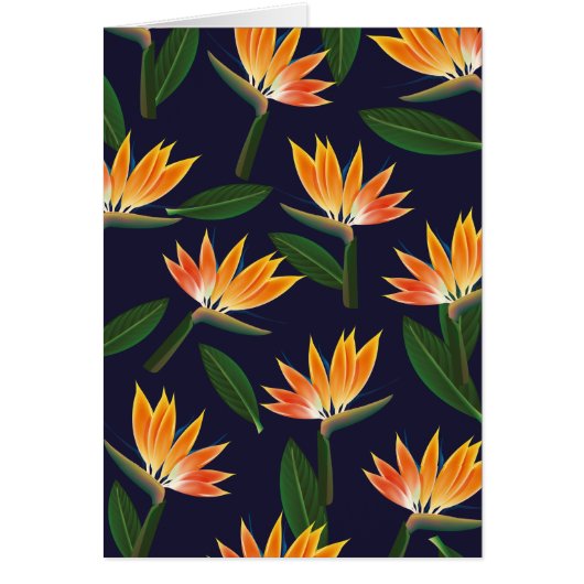 Bird of paradise flower (Front)