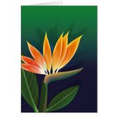 Bird of paradise flower (Front)