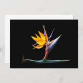 Bird of Paradise Flower (Front/Back)