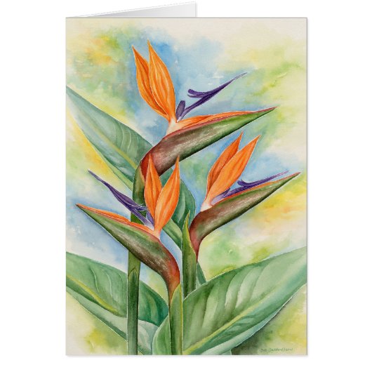 Bird Of Paradise Flower Art - Multi Cards (Front)